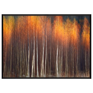 菠蘿選畫所 抽象畫 暮秋 掛畫 APAP3476B 40 x 30cm - 北歐風裝飾畫  黑色