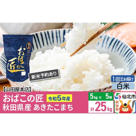 ふるさと納税 令和5年産 仙北市産 新米予約 おばこの匠 25kg（5kg×5袋）秋田県産あきたこまち 秋田こまち 秋田県仙北市