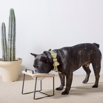 原木寵物托高碗架  S/楓木色