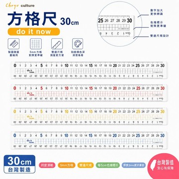 台灣製 珠友 DO-10003 方格尺30cm-do it now/製圖/測量/直尺/雙邊尺規/方格/尺規/尺標