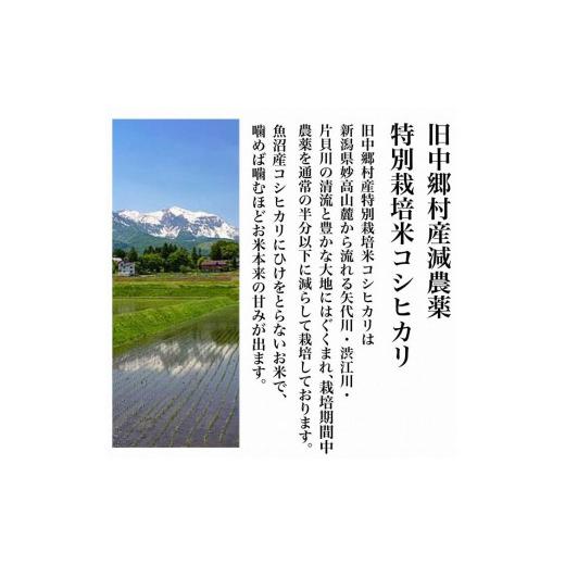 ふるさと納税 新潟県 新潟県旧中郷村減農薬特別栽培米コシヒカリ 10kg（5kg×2袋）