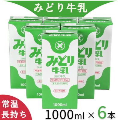 ふるさと納税 杵築市 LLみどり牛乳 ご家庭用サイズ 1000ml×6本