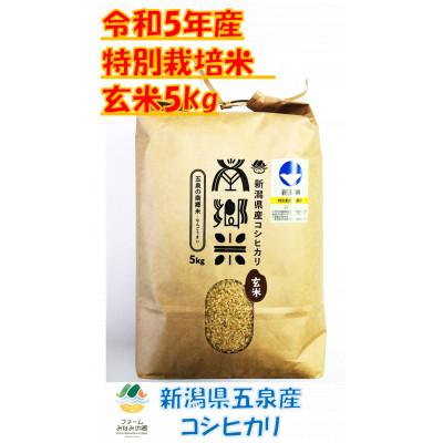 ふるさと納税 五泉市 隠れたお米の名産地!新潟県五泉産コシヒカリ「南郷米」　令和5年産　玄米5kg