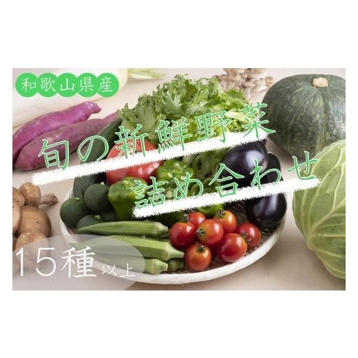 ふるさと納税 和歌山県 印南町 旬の新鮮野菜詰め合わせたっぷり15種以上