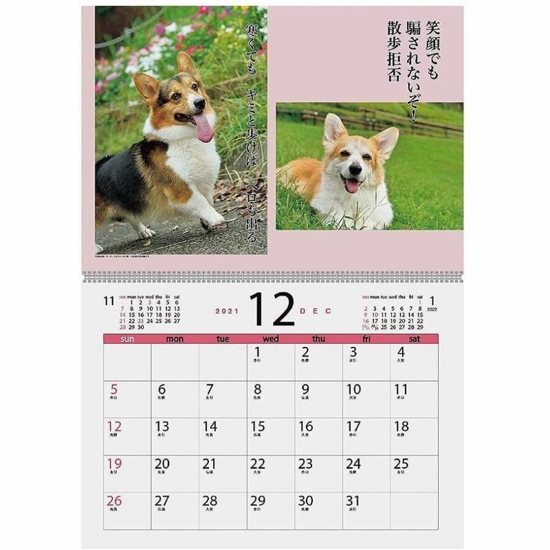 22年 コーギー川柳 カレンダー Vol 004 犬 動物 アートプリント ドッグ 写真 通販 Lineポイント最大get Lineショッピング