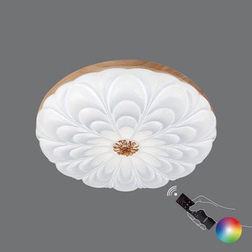 【台灣認證】 RGB 雲之耀舞吸頂燈 L11-C2428S-75W、95W