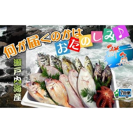 ふるさと納税 創業100年の魚屋さんが選び抜いた旨い鮮魚直送便〜 香川県坂出市