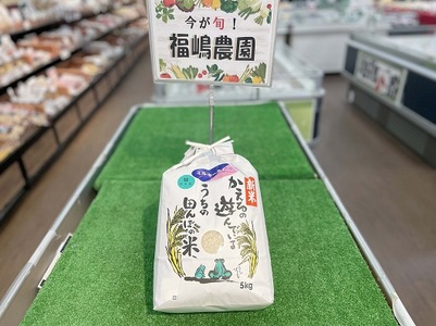 滝のめぐみが育んだミルキークィーン5kg