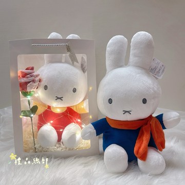 正版授權 米菲兔絨毛娃娃 有錢花禮品袋 500元鈔額 Miffy 米菲兔玩偶 米飛兔抱枕 米菲兔周邊 生日禮物