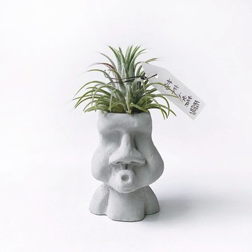 (預購) 花束小精靈 空氣鳳梨 可搭配O嘴摩艾水泥盆器