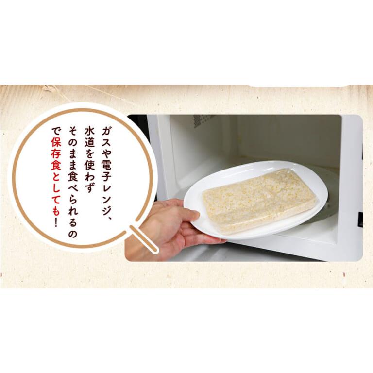 玄米ごはん レトルト エコパック 200g×30袋 無農薬・無化学肥料 令和5年福井県産新米 特別栽培米 コシヒカリ使用 送料無料