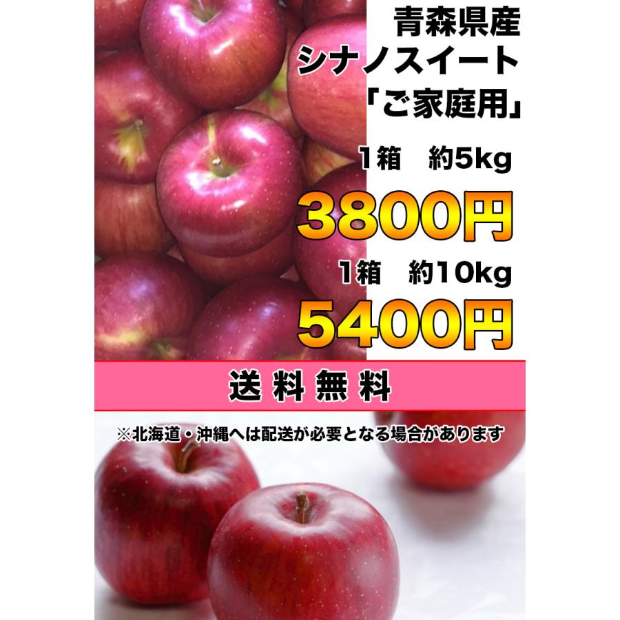 りんご 5kg ご家庭用 青森県産 シナノスイート 5kg 送料無料 りんご 5Kg ご家庭用 お試し シナノスイート 青森 生食用 SDGS