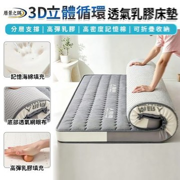 【匠藝家居】記憶棉床墊 乳膠床墊 助眠床墊 單人床墊 床墊 灰白邊 80*190公分抑菌款厚約9公分