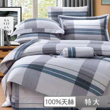 貝兒居家寢飾生活館 100%天絲四件式兩用被床包組 特大雙人 埃米爾