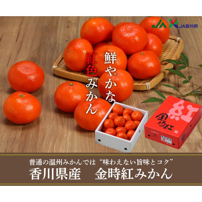 お歳暮 みかん 金時紅みかん 青秀 2L〜2Sサイズ 2kg 香川県産 ミカン 蜜柑 ギフト お取り寄せ