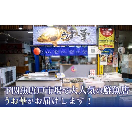 ふるさと納税 山口県 下関市 ワタリガニ メス 約500g 冷蔵 ガザミ 蟹 下関 唐戸市場 直送 冬季