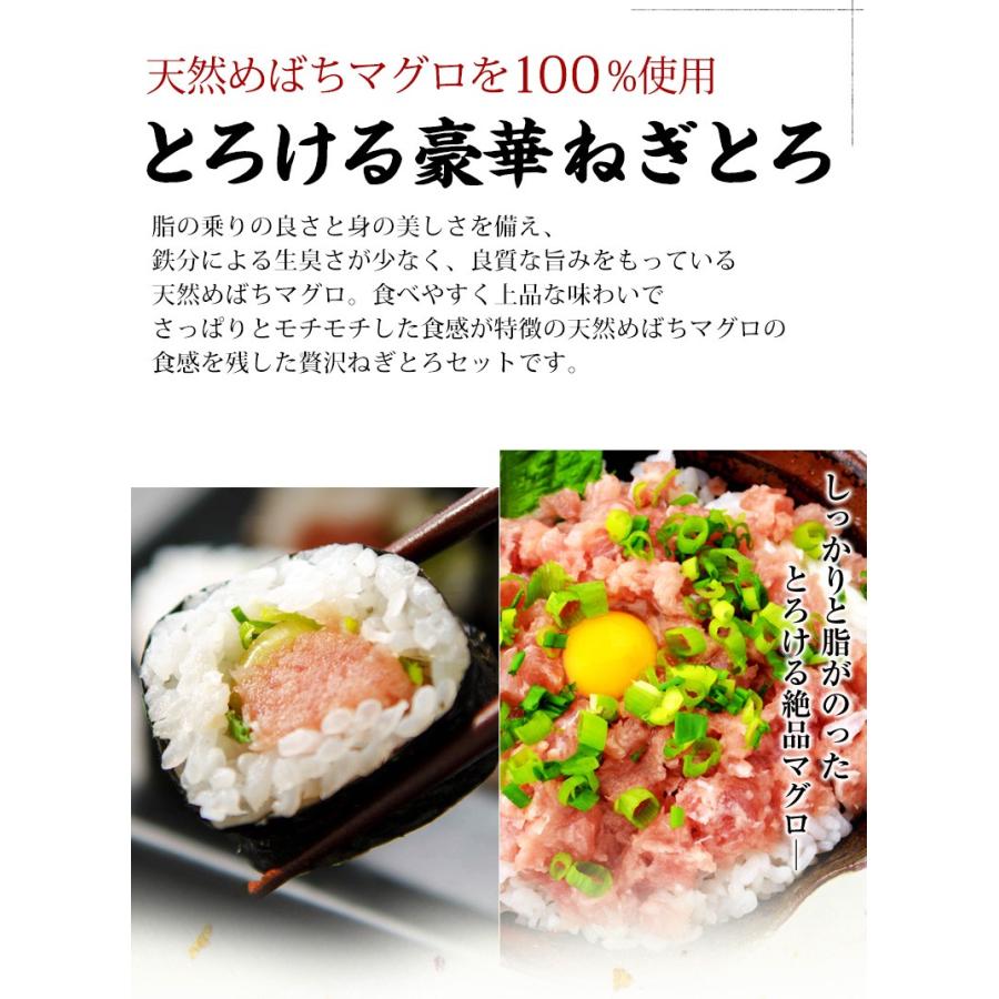 ネギトロ マグロたたき 冷凍 100g 天然めばちマグロ100％使用 まぐろ 鮪 プレゼント お歳暮 2023 ギフト