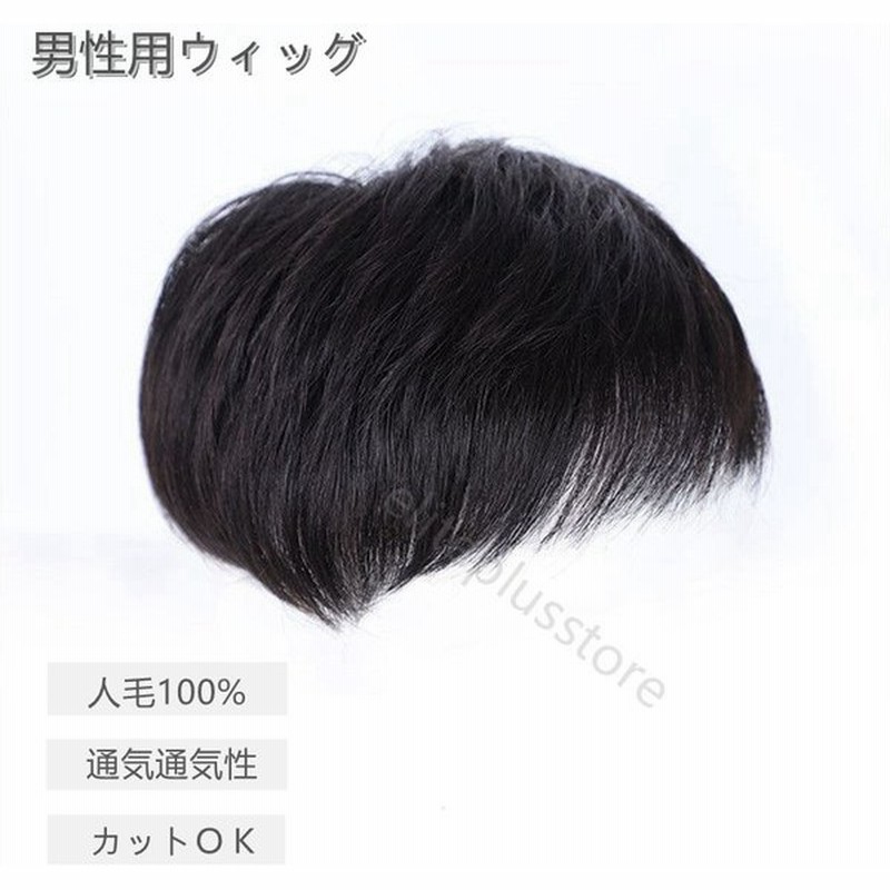 男性用ウィッグ メンズウィッグ ショート ヘアピース人毛使用 普段用 黒 短い 通気性 白髪隠れ 増毛 部分ウィッグ トップカバー 通販 Lineポイント最大get Lineショッピング