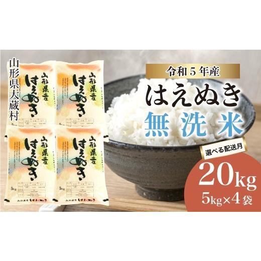 ふるさと納税 山形県 大蔵村 令和5年産 大蔵村 はえぬき  20kg （5kg×4袋）