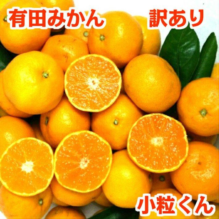 みかん 5kg 送料無料 訳あり s 小粒くん 有田みかん 果物 おいしい 小玉 和歌山直送 産地直送 こつぶ 和歌山 わけあり ミカン 甘い 糖度 お買い得 ご自宅用