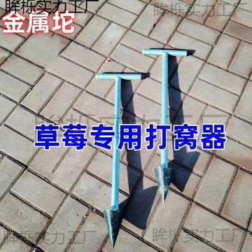 草莓打窩器栽草莓工具栽草莓種草莓打坑器打孔器栽苗壘德株