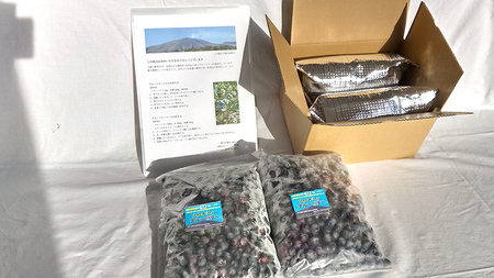  冷凍ブルーベリー2kg 国産 群馬県 フルーツ 果物 北軽井沢ブルーベリー園 1kg × 2袋 [AD003tu]