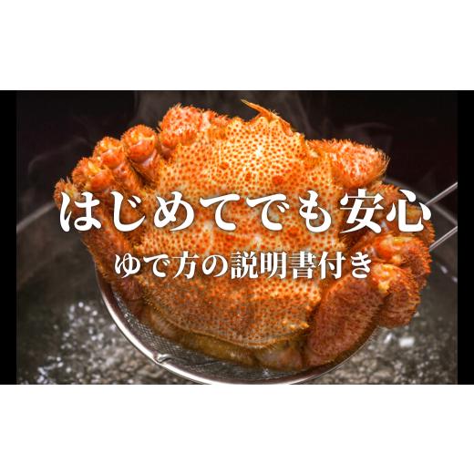 ふるさと納税 岩手県 大槌町 三陸産 三陸活毛ガニ 250g×3杯（3尾）　天然 国産 冷蔵 三陸直送 濃厚 かに 蟹 カニ 毛ガニ 毛蟹 毛が…