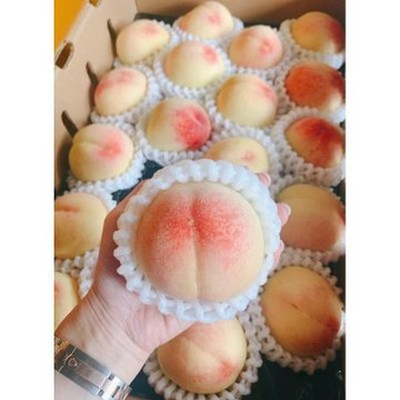 《桃界之王》 全世界最好吃的水蜜桃 壽康桃  美國 加州 頂級 壽康水蜜桃｜美國壽康桃禮盒