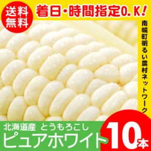 2024年 予約受付中 8月下旬出荷開始南幌町 北海道産とうもろこし 送料無料 白いとうもろこし ピュアホワイト(10本)