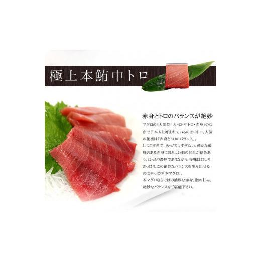 ふるさと納税 福島県 いわき市 本マグロ大トロ中トロセット350g　解凍レシピ付　1サクずつ真空包装