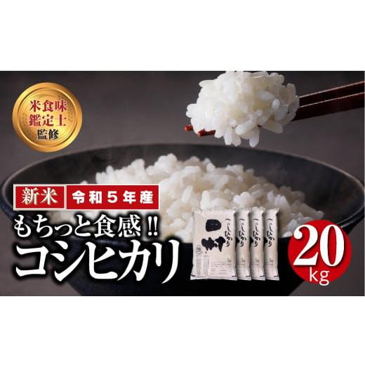 ふるさと納税 福島県 田村市  田村産 コシヒカリ 20kg 5kg × 4袋 贅沢 のし対応 １週間以内発送 福島 ふくしま 田村 贈答 ギフト 美…