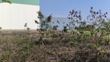 麻豆-7期重劃區-乙種工業地｜台南市麻豆區麻工段