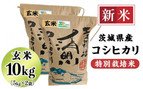 20-21茨城県産コシヒカリ特別栽培米10kg（5kg×2袋）玄米