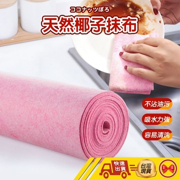 【💂‍♀️這▸台灣現貨快速寄🎀TY458】椰殼抹布 抹布 超吸水纖維抹布 油切抹布 不沾油 洗碗布 洗碗巾