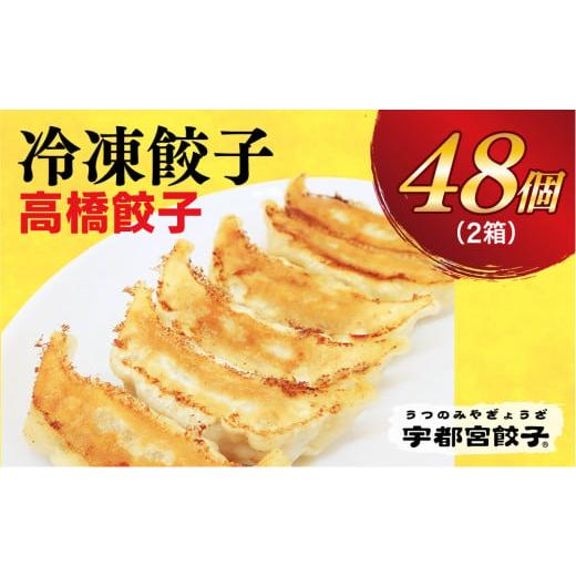 ふるさと納税 栃木県 宇都宮市 　餃子24個入り×2箱