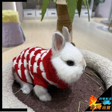 【台灣出貨】寵物衣服 兔子衣服 寵物新年服 小兔針織衫 幼犬服 保暖時尚毛衣 小貓小狗服飾可愛秋冬季