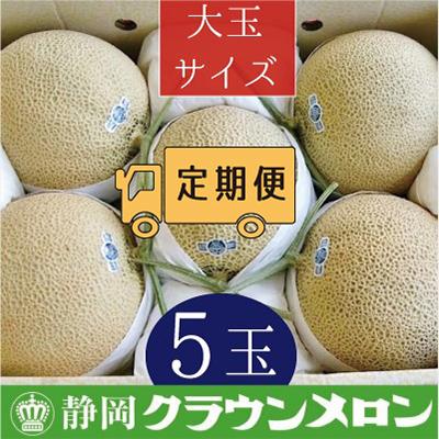 ふるさと納税 浜松市 クラウンメロン(白等級)大玉5玉・6ヵ月毎月お届け全6回