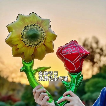 百貨研究所⚡️充氣手持雛菊玫瑰花花束氣球商場店鋪活動場景佈置裝飾用品套餐🎉
