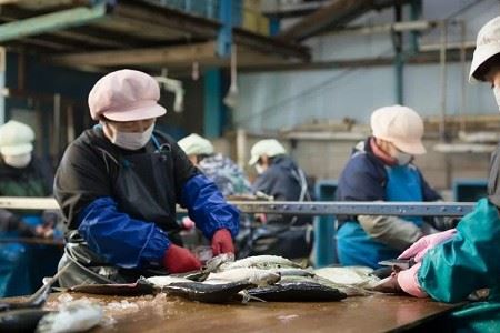 職人厳選干物セット (約7種) 干物 あじ 鯵 さば 鯖 丸干し みりん干し 開き 魚 海鮮 冷凍 詰め合わせ セット 大分県 佐伯市 