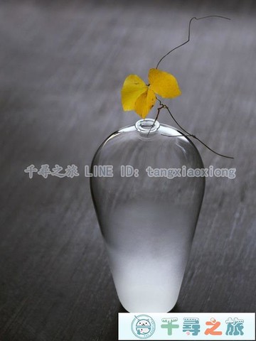 日式禪意玻璃花瓶水培透明花器插花梅瓶水養家居客廳裝飾擺件 Yahoo奇摩超級商城 Line購物