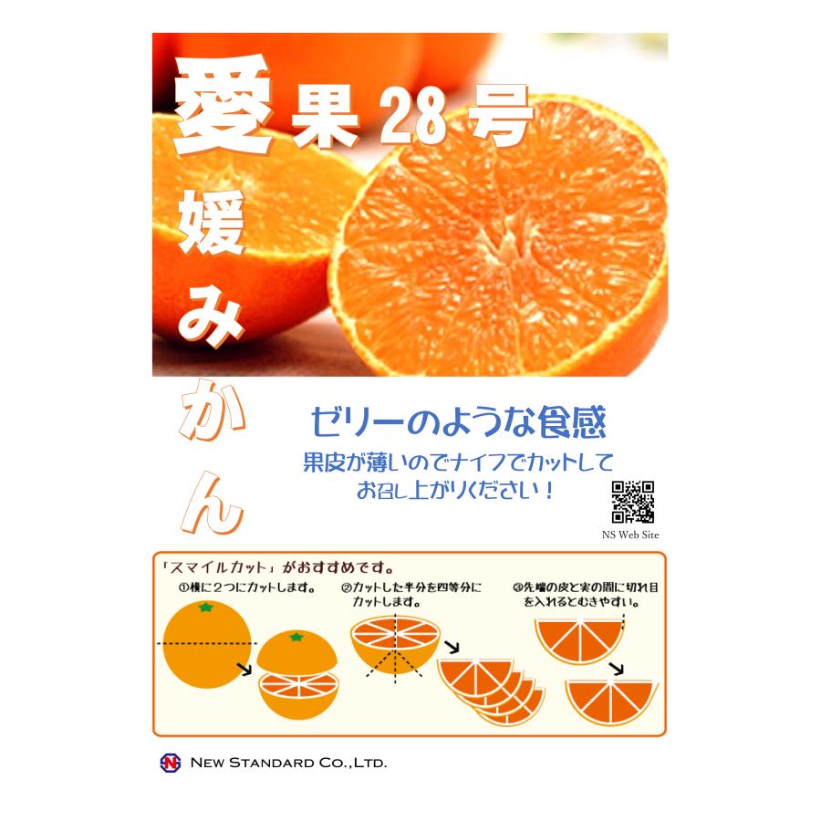 愛果28号(5kg入り) 厳選2L-Lサイズ (20-25玉) 産地直送 愛媛県産  愛果28号  紅まどんな 国産