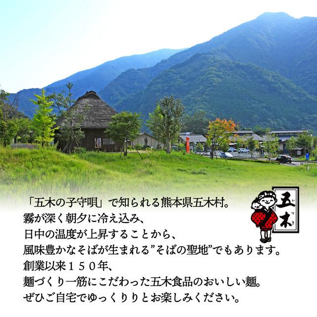 冷やし中華 冷やし 坦々麺  半生 麺 タレ つゆ セット 送料無料 選べる 4種類 6人前 インスタント 人気 ポイント消化  paypay Tポイント消化