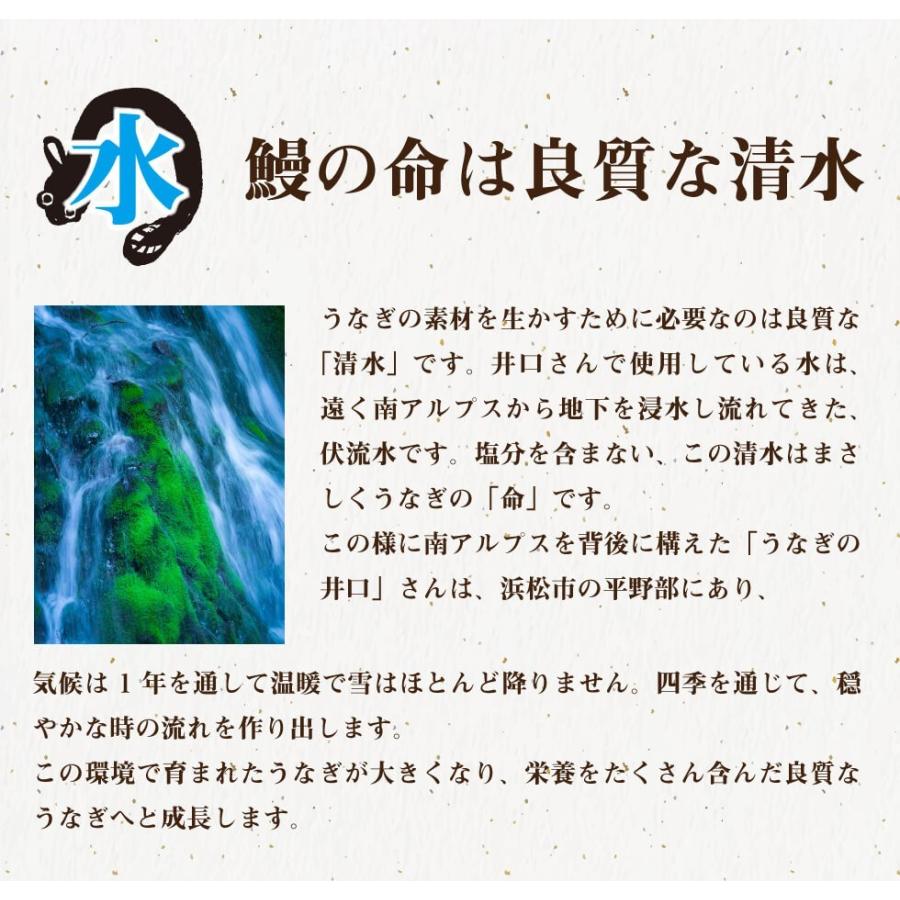 送料無料 うなぎの井口 蒲焼きカットセット 70g×5本 〜  うなぎ ウナギ 鰻 蒲焼き浜名湖 手焼き 高級 高い 土用の丑の日