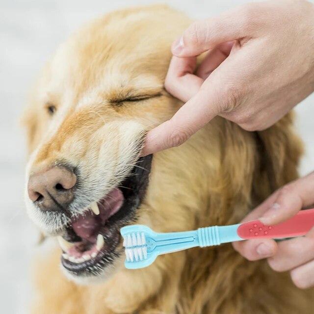 犬 歯ブラシ トリプル歯ブラシ 3D歯ブラシ 3面ブラシ 犬デンタルケア  中大型犬用 歯科衛生用ブラシ デンタルケア 耐久性 丈夫 清潔