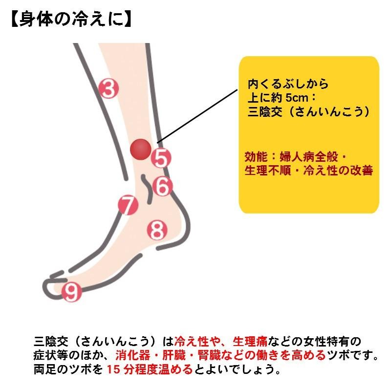 冷え性 温活 お灸 邵氏温灸器 3個セット 煙が出ない ベビ待ち 関節痛