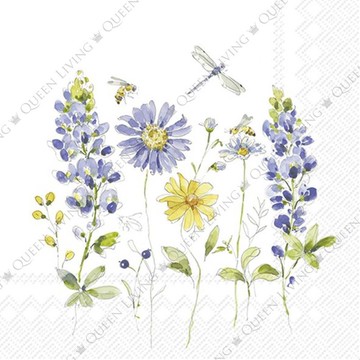 德國 IHR-33*33cm餐巾紙-可愛的布魯斯