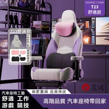 人體工學舒適電競椅 附可調節雙枕 48x48x130CM 電腦椅 電競椅 躺椅 升降椅 人體工學椅