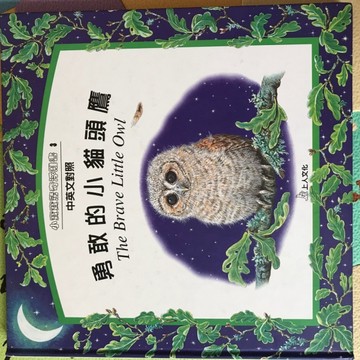 勇敢的小貓頭鷹[二手書_良好]