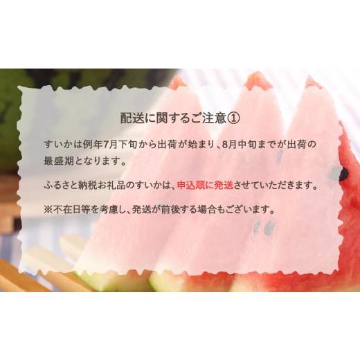 ふるさと納税 山形県 尾花沢市 先行予約 尾花沢スイカ 4〜5Lサイズ(約9〜10kg)×1玉 7月下旬〜8月中旬頃発送 令和6年産 2024年産 農産センター すいか 西瓜 ※…