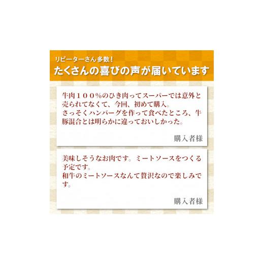 ふるさと納税 長野県 根羽村 ハンバーグに大人気！根羽こだわり和牛 ミンチ 1kg 国産黒毛和牛 10000円